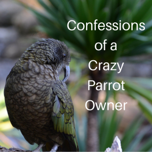 Read more about the article Confessions of a Crazy Parrot Owner