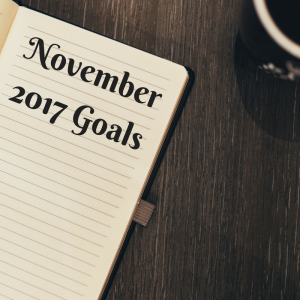 Read more about the article Goals: November 2017