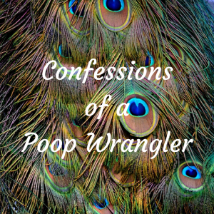 Read more about the article Confessions of a Poop Wrangler